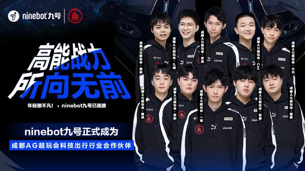 纯依靠某一 纯依靠某一