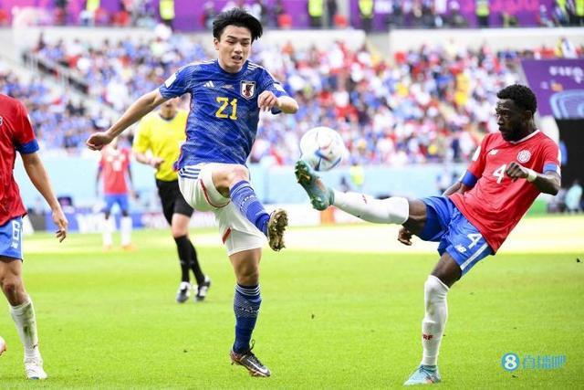 突显了转会 突显了转会